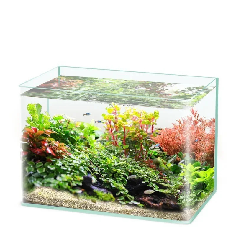 Glass fish tank explosion-proof glass bending tabletop small aquarium turtle ecological water tank with decorative accessories 241218