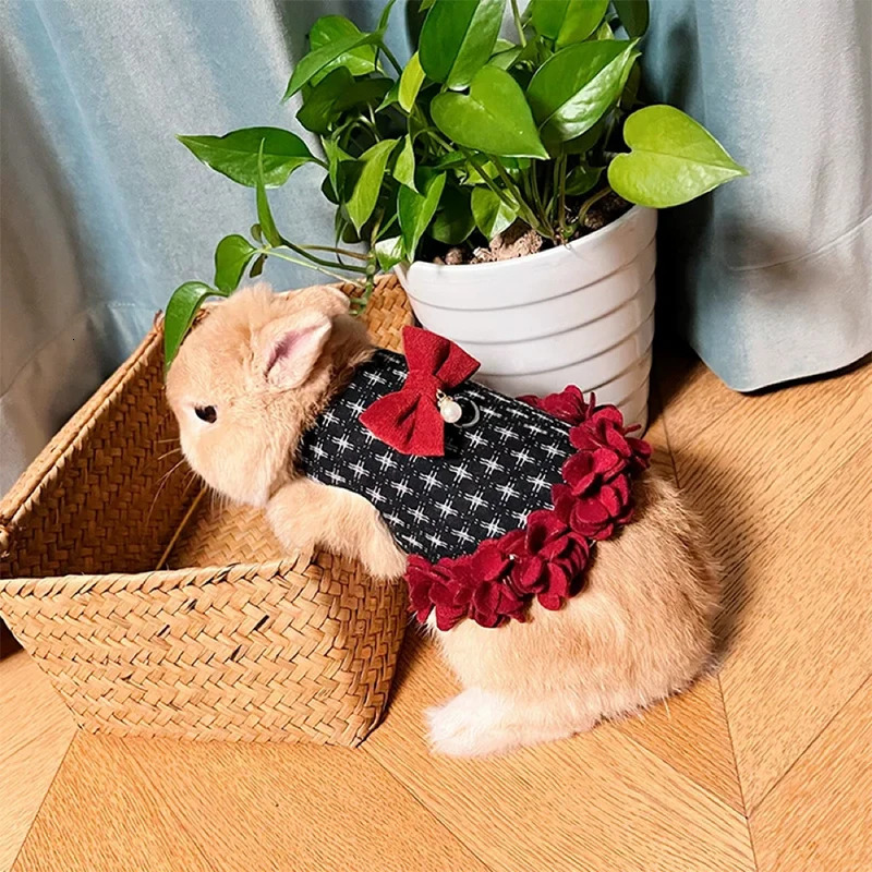 Rabbit Clothes Leash Bunny Petal Skirt Guinea Pig Cat Thermal Strap Lop-eared Dwarf Rabbit Outing Accessories Pet Traction Rope 241218