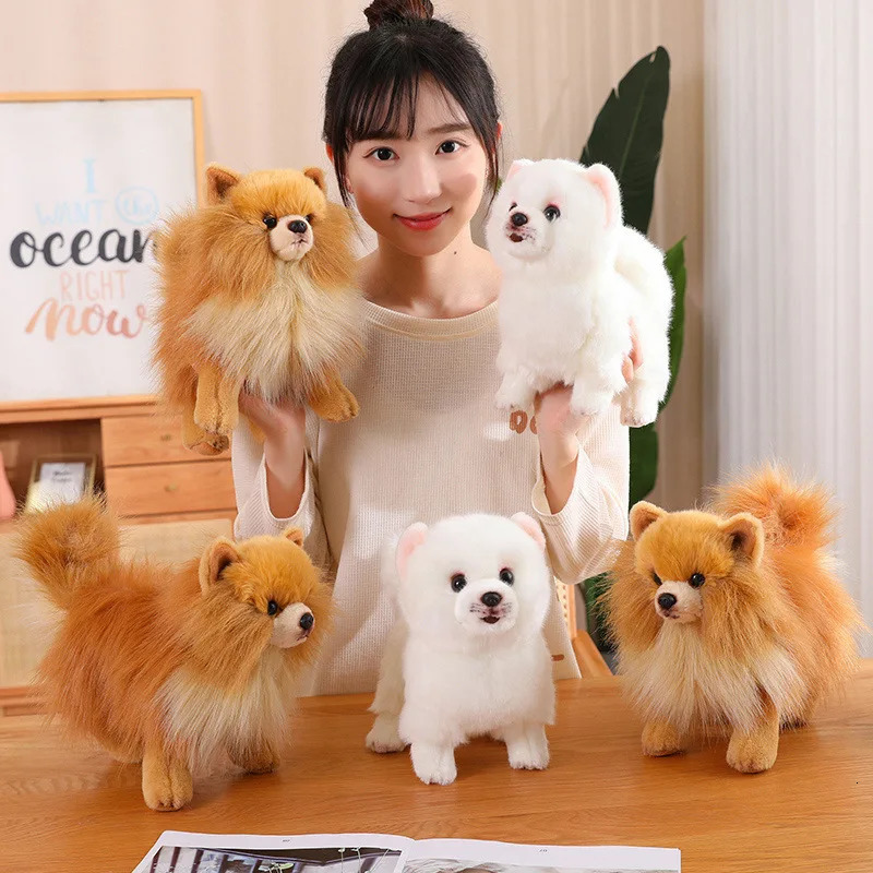 Premium Simulation Pomeranian Dog Plush Toy Cute Stuffed Animals High Quality Puppy Plushies Doll Cartoon Soft Kids Toys Gifts 241220ww