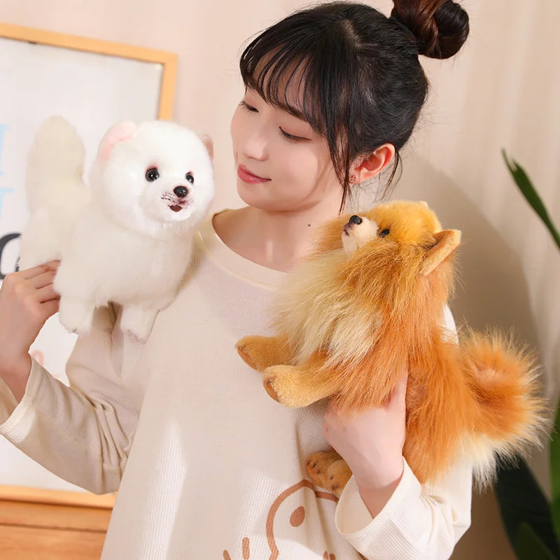 Premium Simulation Pomeranian Dog Plush Toy Cute Stuffed Animals High Quality Puppy Plushies Doll Cartoon Soft Kids Toys Gifts 241220ww