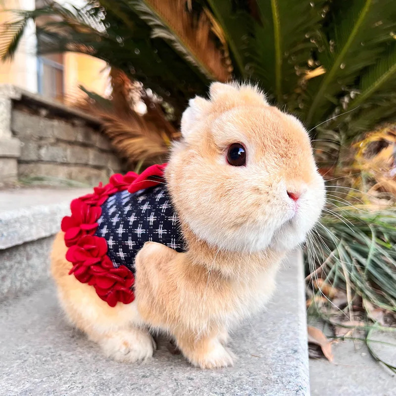 Rabbit Clothes Leash Bunny Petal Skirt Guinea Pig Cat Thermal Strap Lop-eared Dwarf Rabbit Outing Accessories Pet Traction Rope 241218