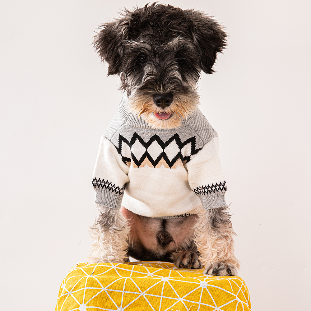Designer Dog Clothes Luxury Dog Apparel Winter Warm Pet Sweaters Knitted Turtleneck Cold Weather Pets Coats Puppy Cat Pullover Clothing for Small Dog 