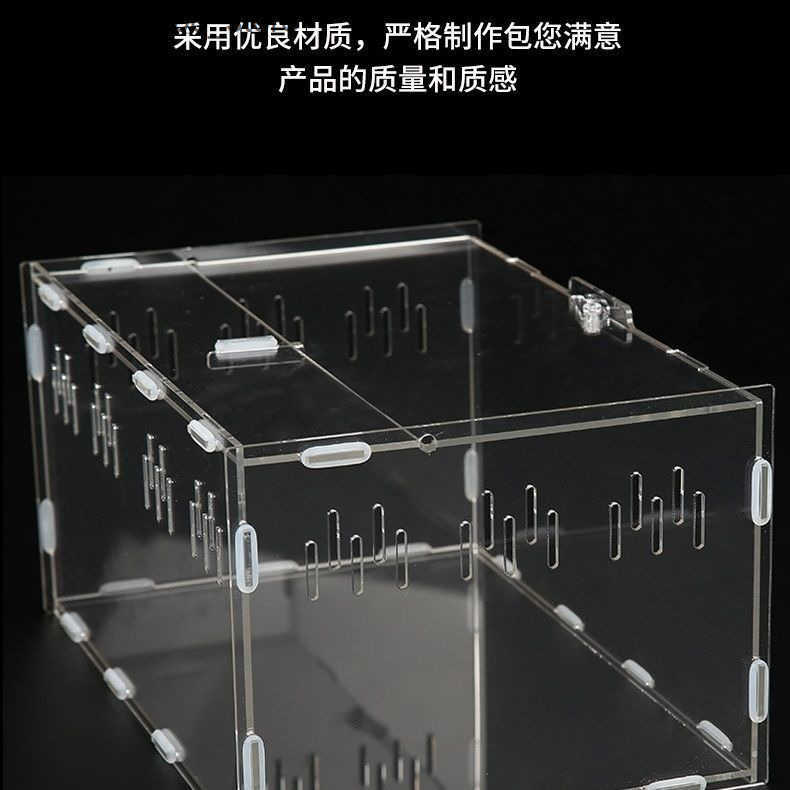 Other Pet Supplies Acrylic Square Transparent Pet Feeding Box Creative Simplicity Rutin Chicken Turtle Crawler Acrylic Box Order L240910