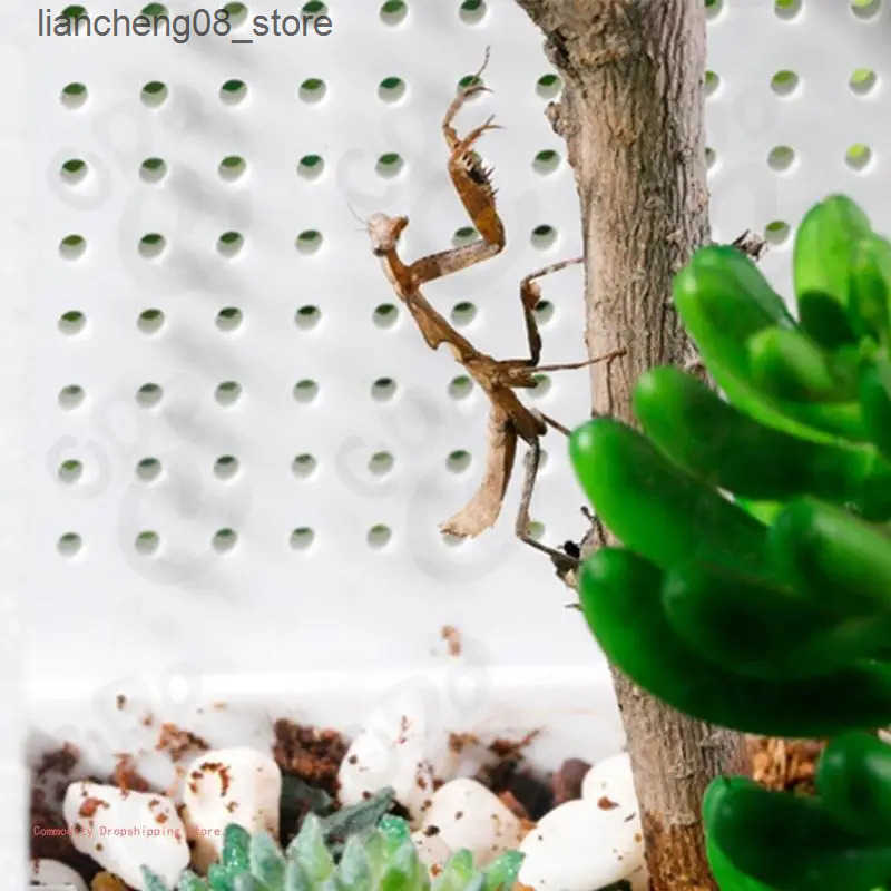 Other Pet Supplies Transparent acrylic mini insect jar - mini shell - breeding box for lizards hidden crabs geckos frogs L240910