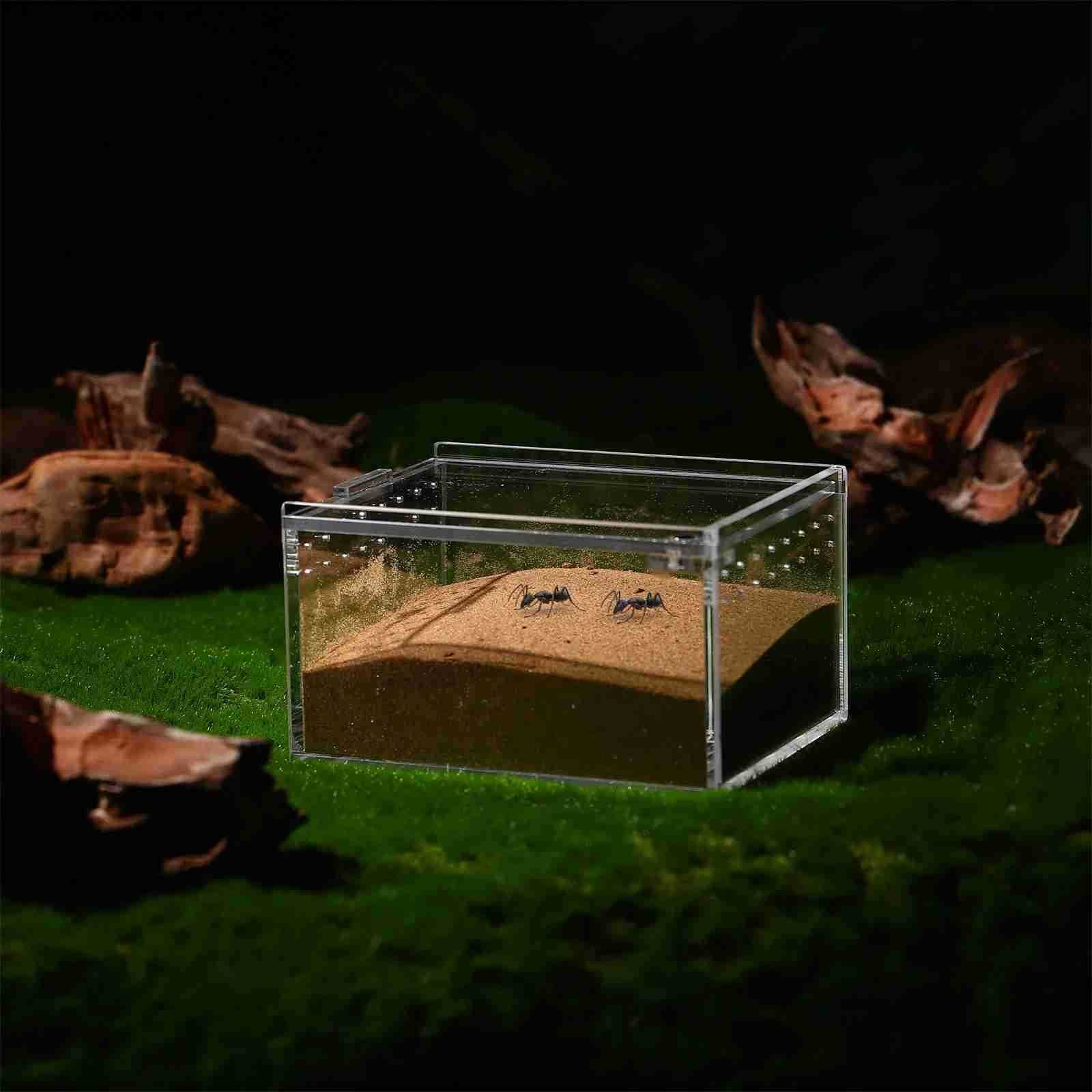 Other Pet Supplies Acrylic reptile box reptile aquarium insect spider kennel box small animal playground pen lizard jar L240910