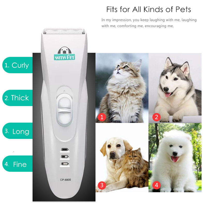 Cp6800 Dog Trimmer Professional Electric Pet Hair Clipper Rechargeable Shaver Cat Grooming Hine Styg Carved Cutter