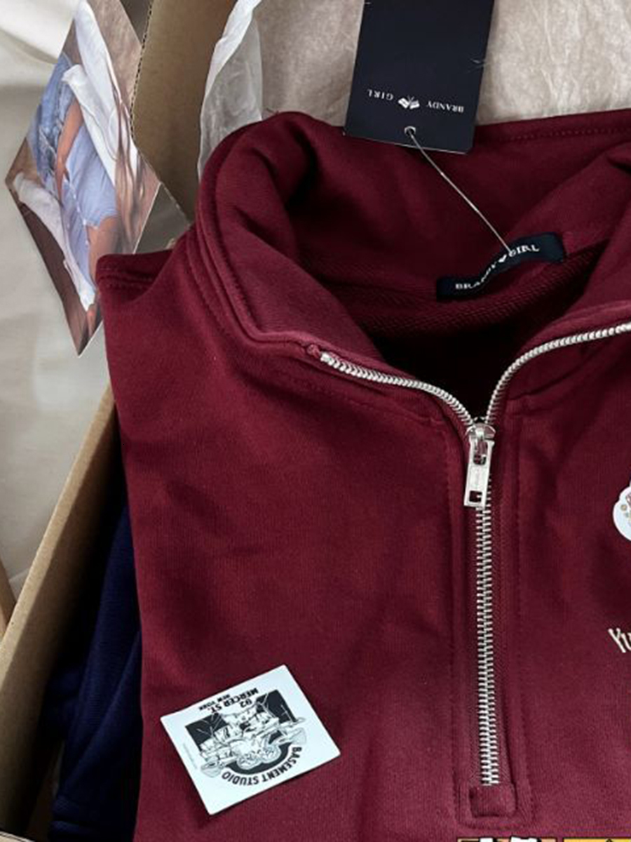 Bear Embroidery Half Zip-Up Sweatshirt Woman Autumn Long Sleeve Turn Down Collar Sweatshirts Vintage Streetwear Y2k Pullover Top