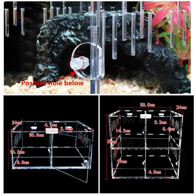 Other Pet Supplies Reptile feed can acrylic Terrarium insect spider lizard breeding box Terrarium Tortoise snake house cage reptile accessories L24091