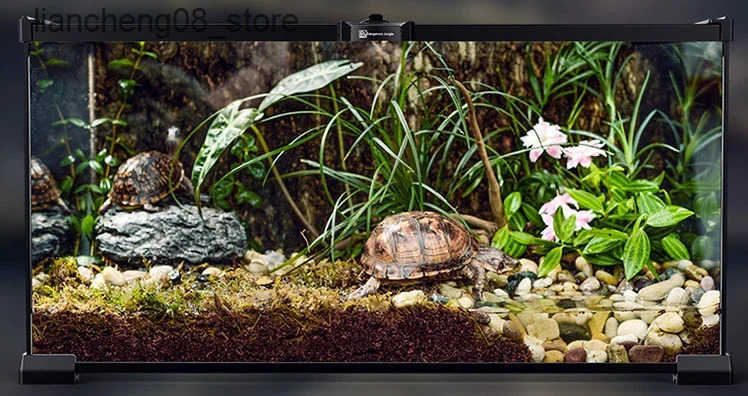 Other Pet Ecological Landscape Water Tank Crawler Glass Water Tank Horned Frog Guardian Palace Lizard Tortoise Breeding Box Beetle Rainforest L240910