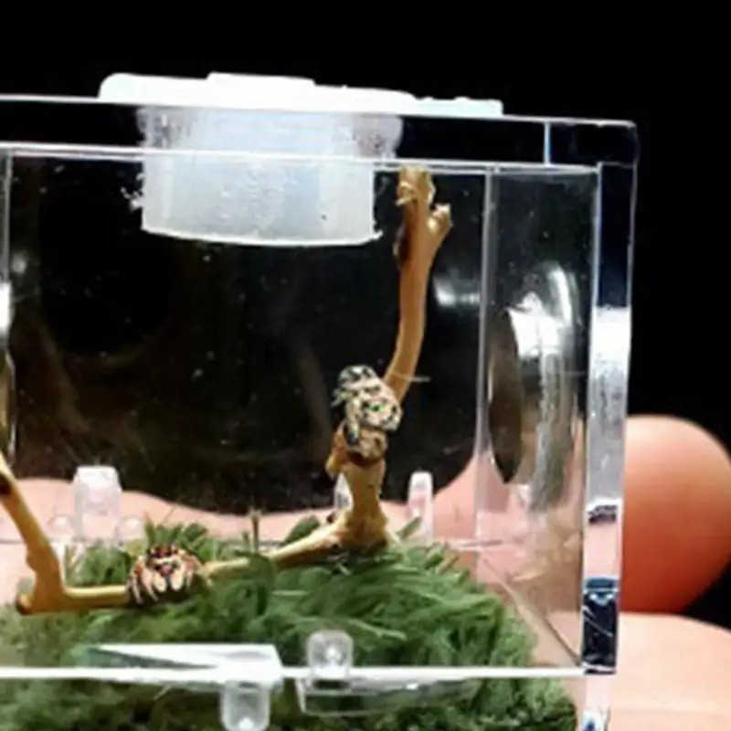 Other Pet Supplies Mini Reptile Breeding Box Transparent Acrylic Cage Habitat Insect Feeding Box Terrarium Tank Escape Anti Jumping Spider L240910