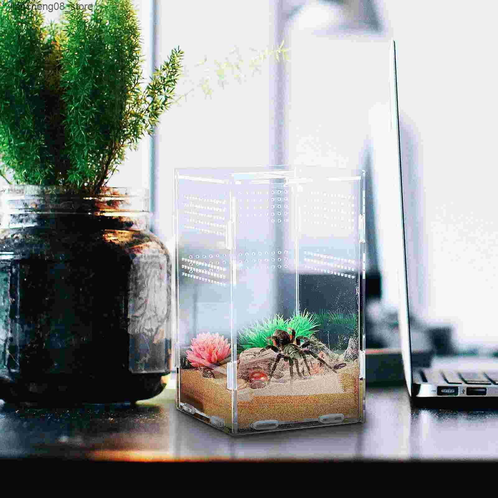 Other Pet lizard tank reptile shell patio stick insect glass L240910