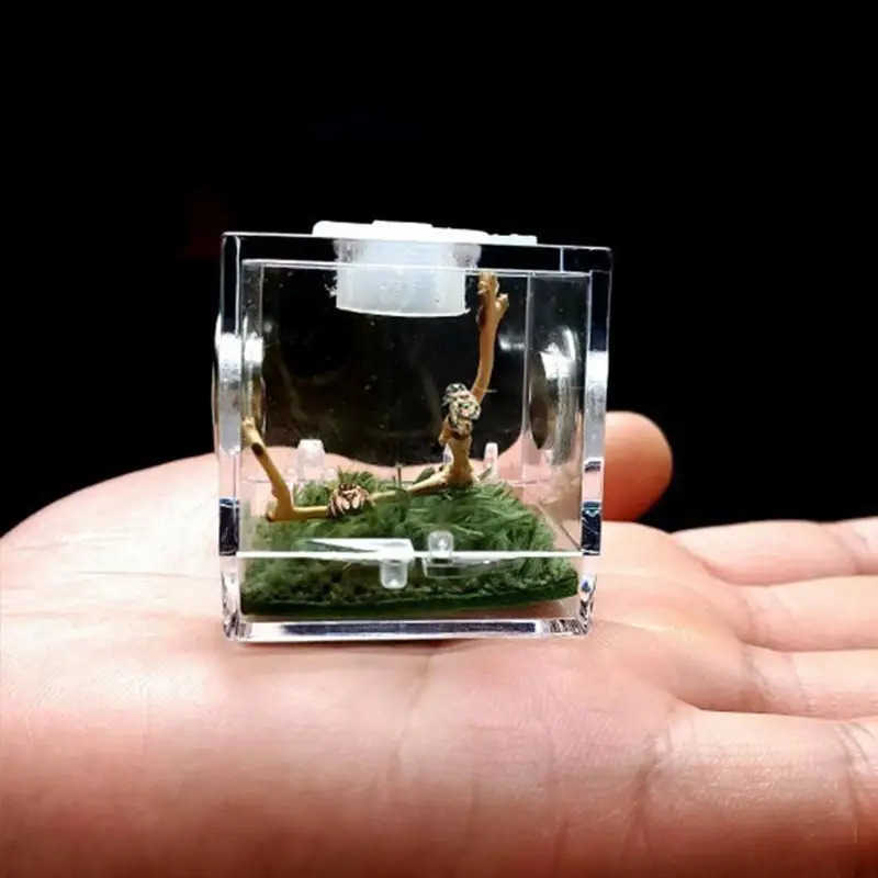 Other Pet Supplies Mini Reptile Breeding Box Transparent Acrylic Cage Habitat Insect Feeding Box Terrarium Tank Escape Anti Jumping Spider L240910