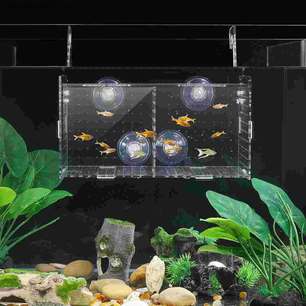 Other Pet Supplies POPETPOP transparent acrylic fish tank isolation box aquarium incubator fish tank incubator L240910
