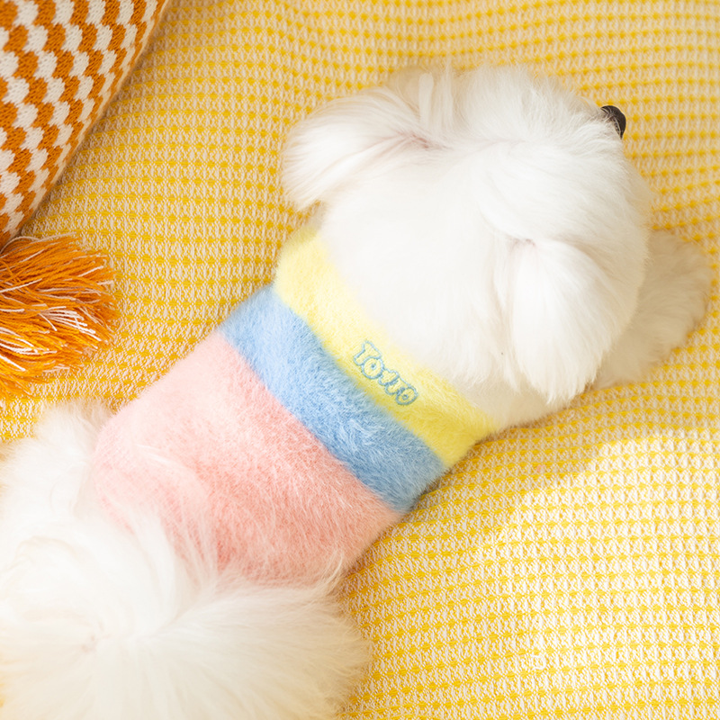 Autumn and Winter Dog Clothes Rainbow Striped Cardigan Thick Warm Sweater Teddy Bear Small Dog Pet Clothes