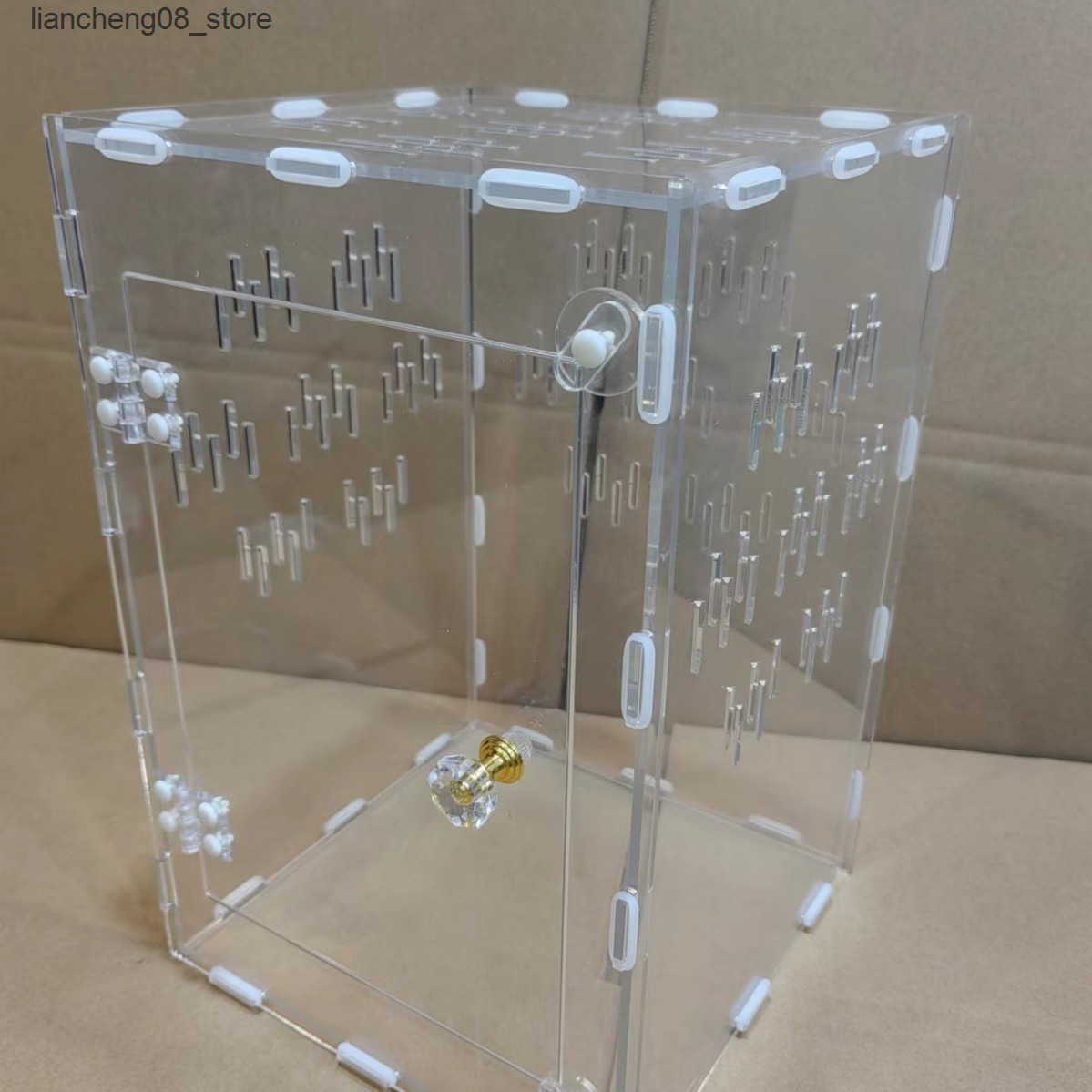 Other Pet Supplies Acrylic Square Transparent Pet Feeding Box Creative Simplicity Rutin Chicken Turtle Crawler Acrylic Box Order L240910