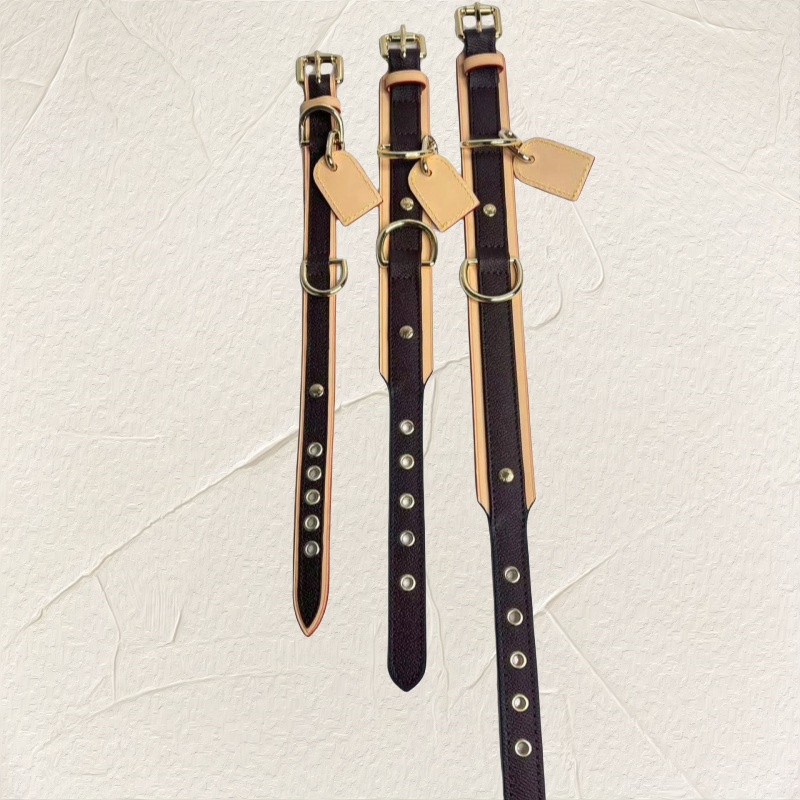 Designer Set Trendy Brand Presbyc Dog Cat Collar Cowhide material Travel Essential Traction Rope Pet Anti-lost Artifact With Box