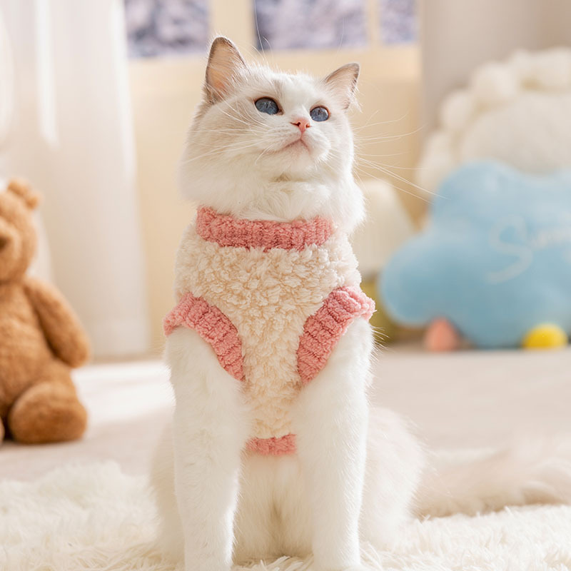 Cute dinosaur in autumn and winter, two legged traction, fluffy clothes for cats, blue cat clothes for kittens, pets clothes