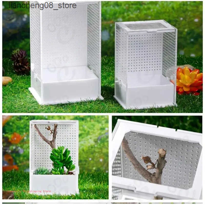 Other Pet Supplies Transparent acrylic mini insect jar - mini shell - breeding box for lizards hidden crabs geckos frogs L240910