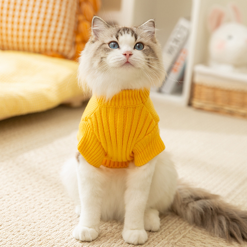 2024 Year Cute Style Simple Dinosaur Two Leg Knitted Sweater Autumn and Winter Cat Clothes Puppy Clothes