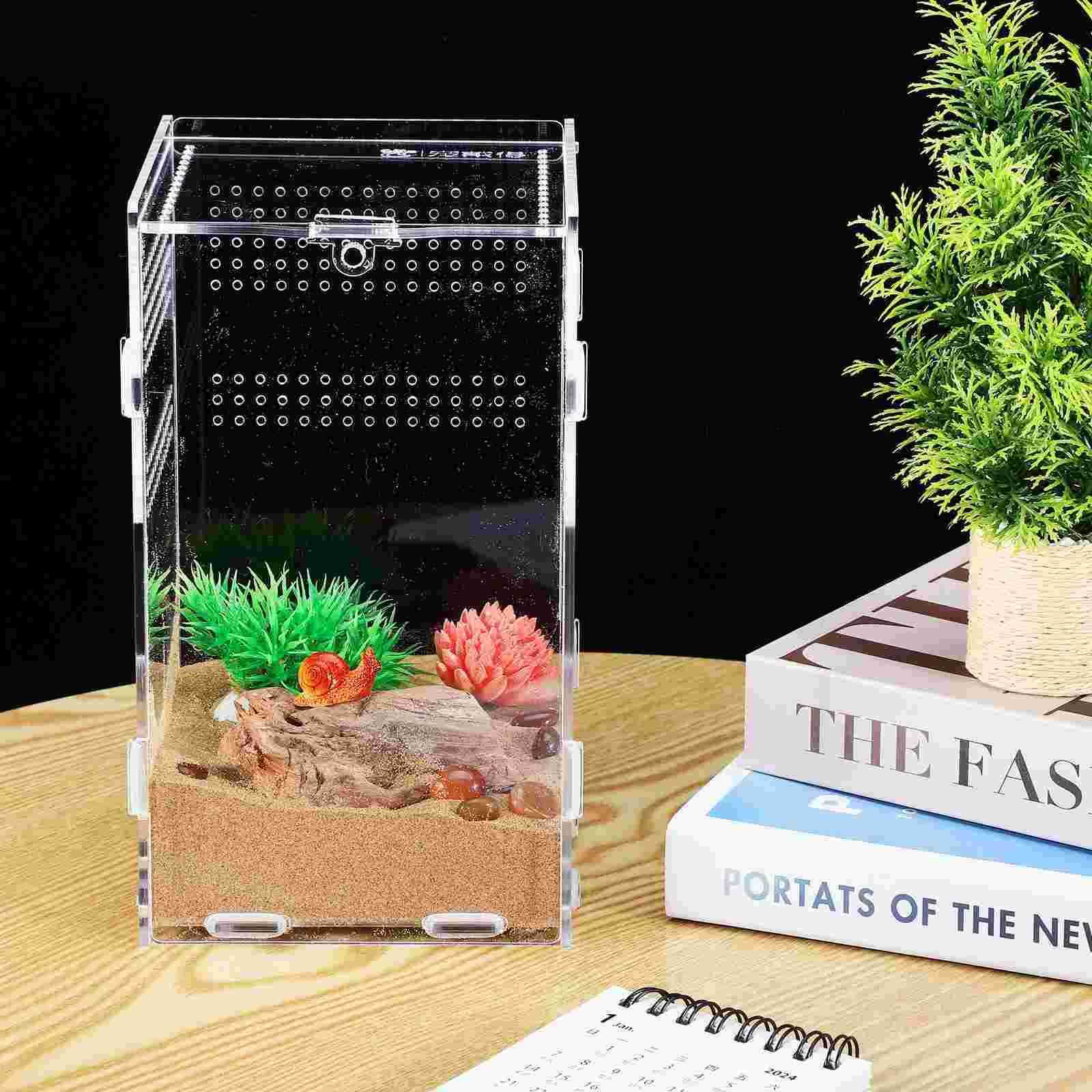 Other Pet lizard tank reptile shell patio stick insect glass L240910