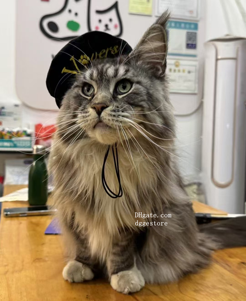 free shipping Designer Pet Hats Beret Soft and Silky Veet Material Round Fashion Princess Hat Adjustable Chin Strap for Small Dog Apparel Accessories 