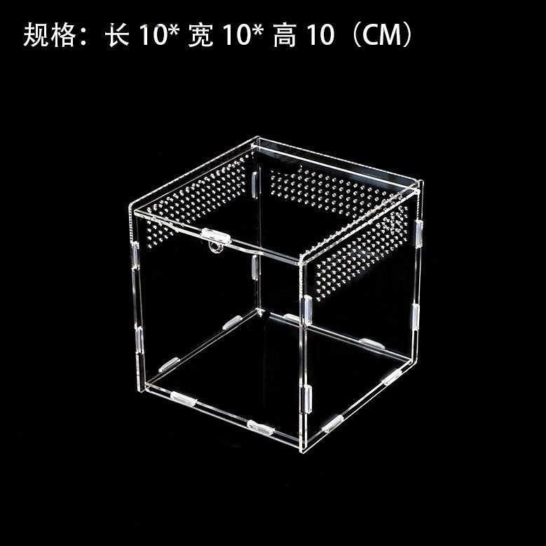 Other Pet Supplies Acrylic Square Transparent Pet Feeding Box Creative Simplicity Rutin Chicken Turtle Crawler Acrylic Box Order L240910