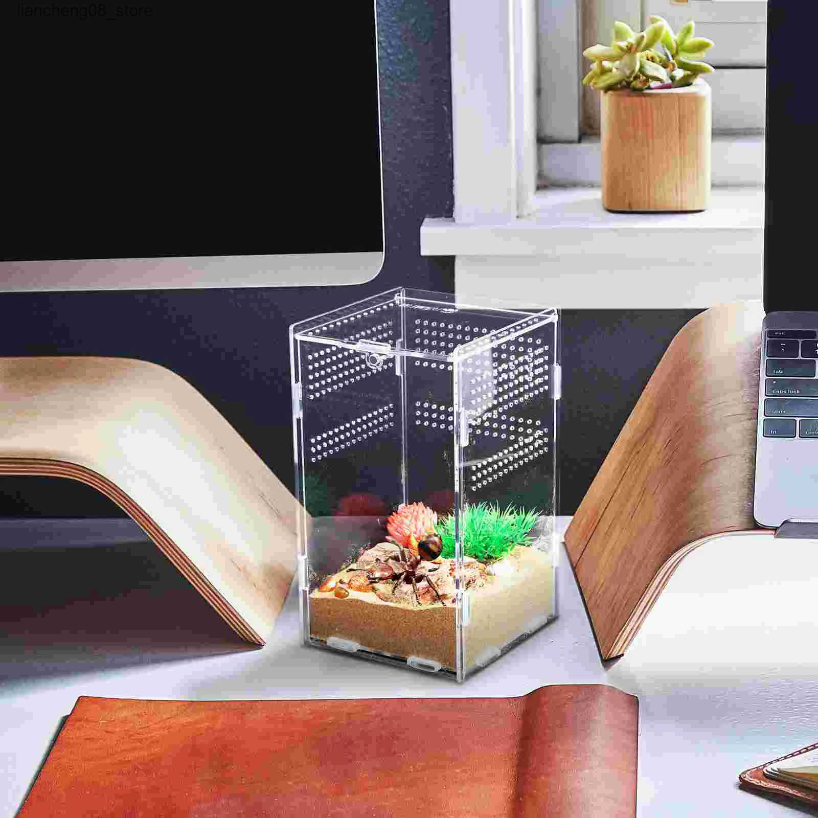 Other Pet lizard tank reptile shell patio stick insect glass L240910