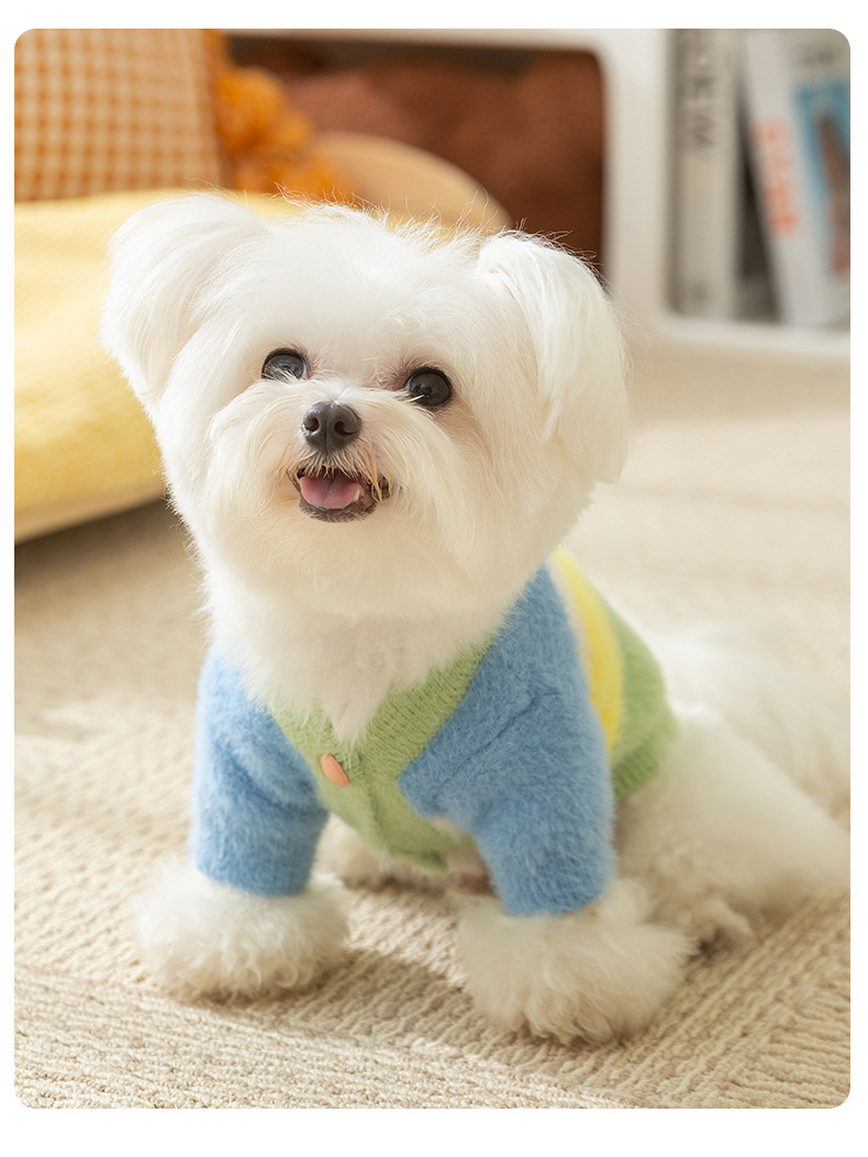 Autumn and Winter Dog Clothes Rainbow Striped Thick Warm Sweater Small Dog Pet Clothes Fashion Clothing