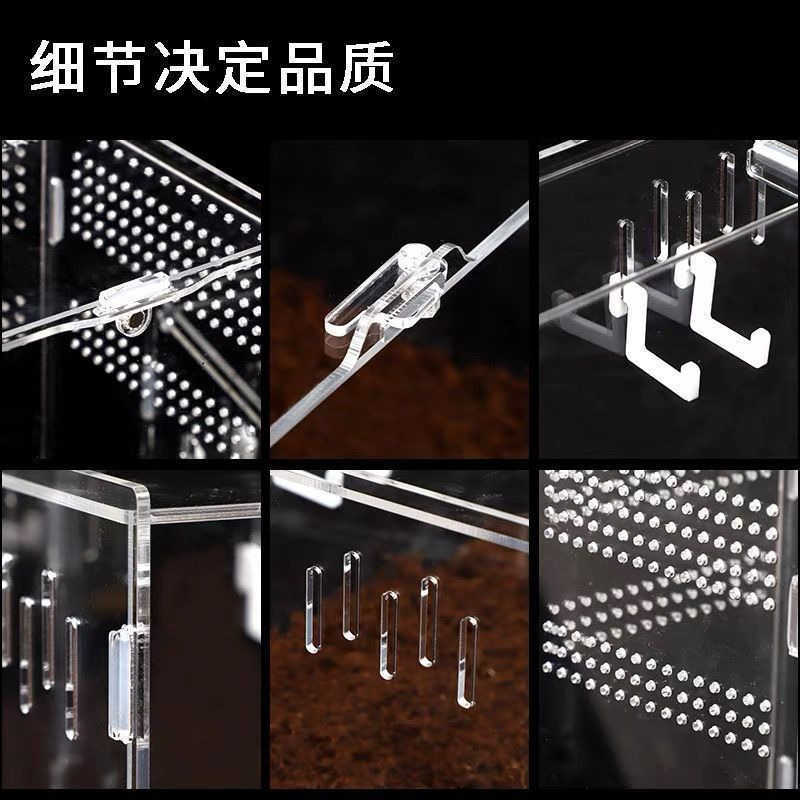 Other Pet Supplies Crawling pet acrylic feeding box Crawler feeding box Lizard guarding palace Scorpion Spider Corn Snake Assembly L240910