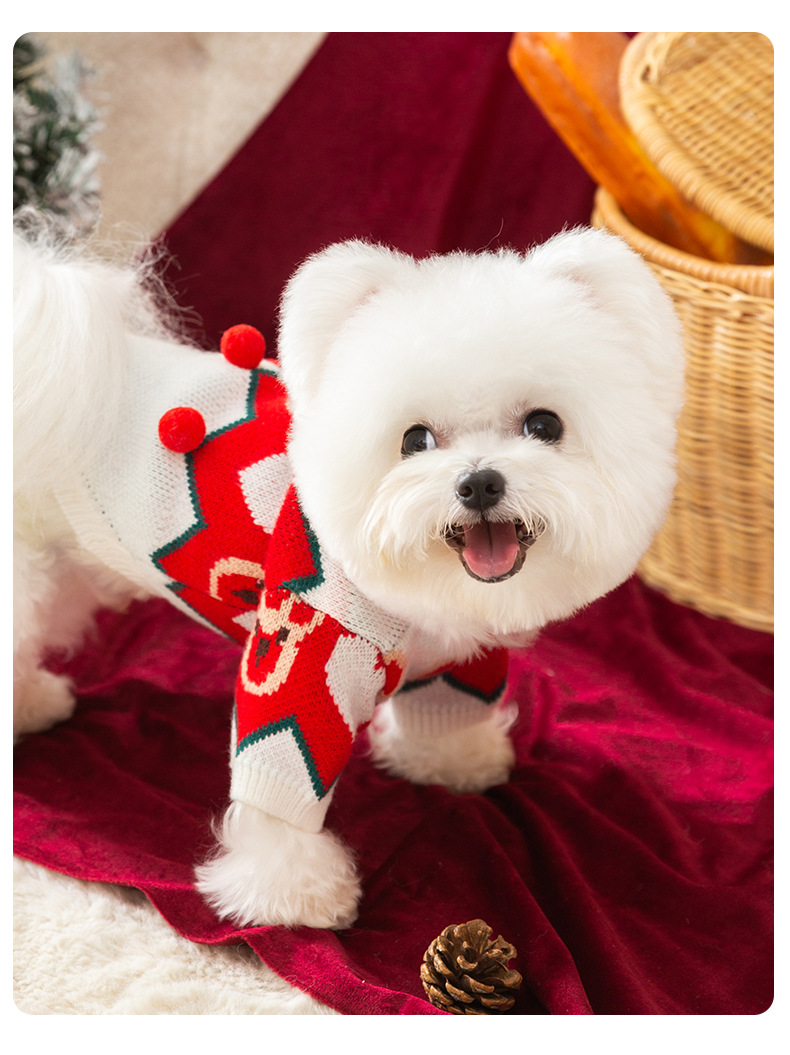 Autumn and winter dog clothes New Year pullover sweater celebration sweater knitted pet dog clothing
