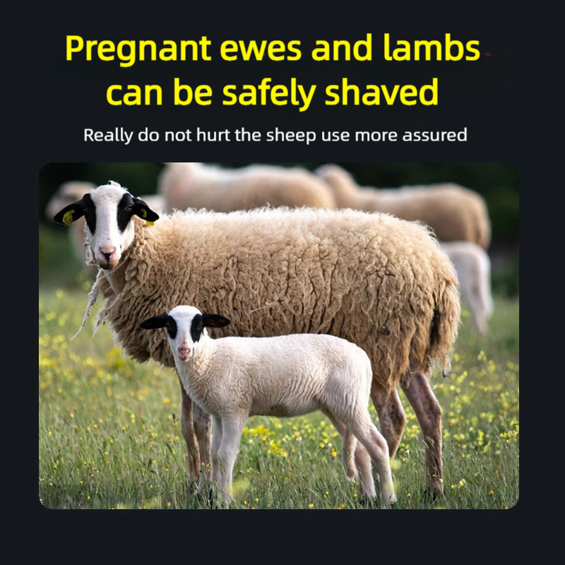 Wool Shearing Professional Electric Wool Fader Sheep Goat Pet Dog Farm Shaving Tools