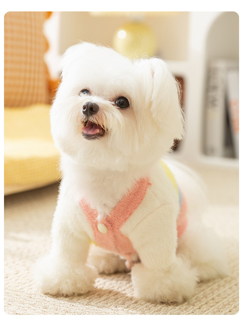 Autumn and Winter Dog Clothes Rainbow Striped Thick Warm Sweater Small Dog Pet Clothes Fashion Clothing