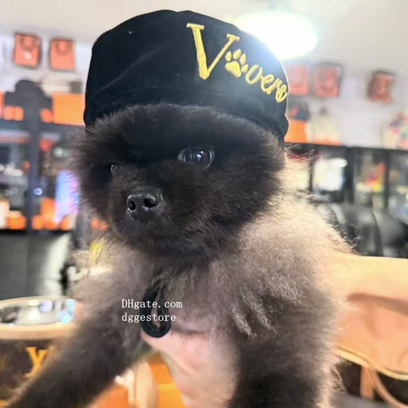 free shipping Designer Pet Hats Beret Soft and Silky Veet Material Round Fashion Princess Hat Adjustable Chin Strap for Small Dog Apparel Accessories 