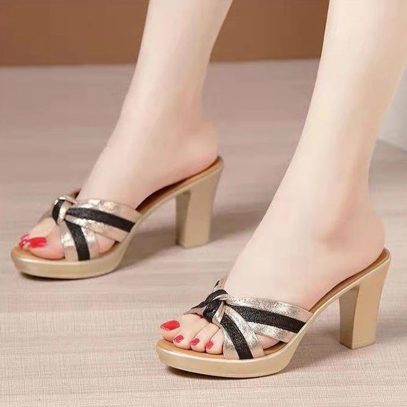 Thick Heel Outdoor Sandals For Women Summer 2024 Waterproof Platform Fish Mouth Fashionable Allmatch High 241213
