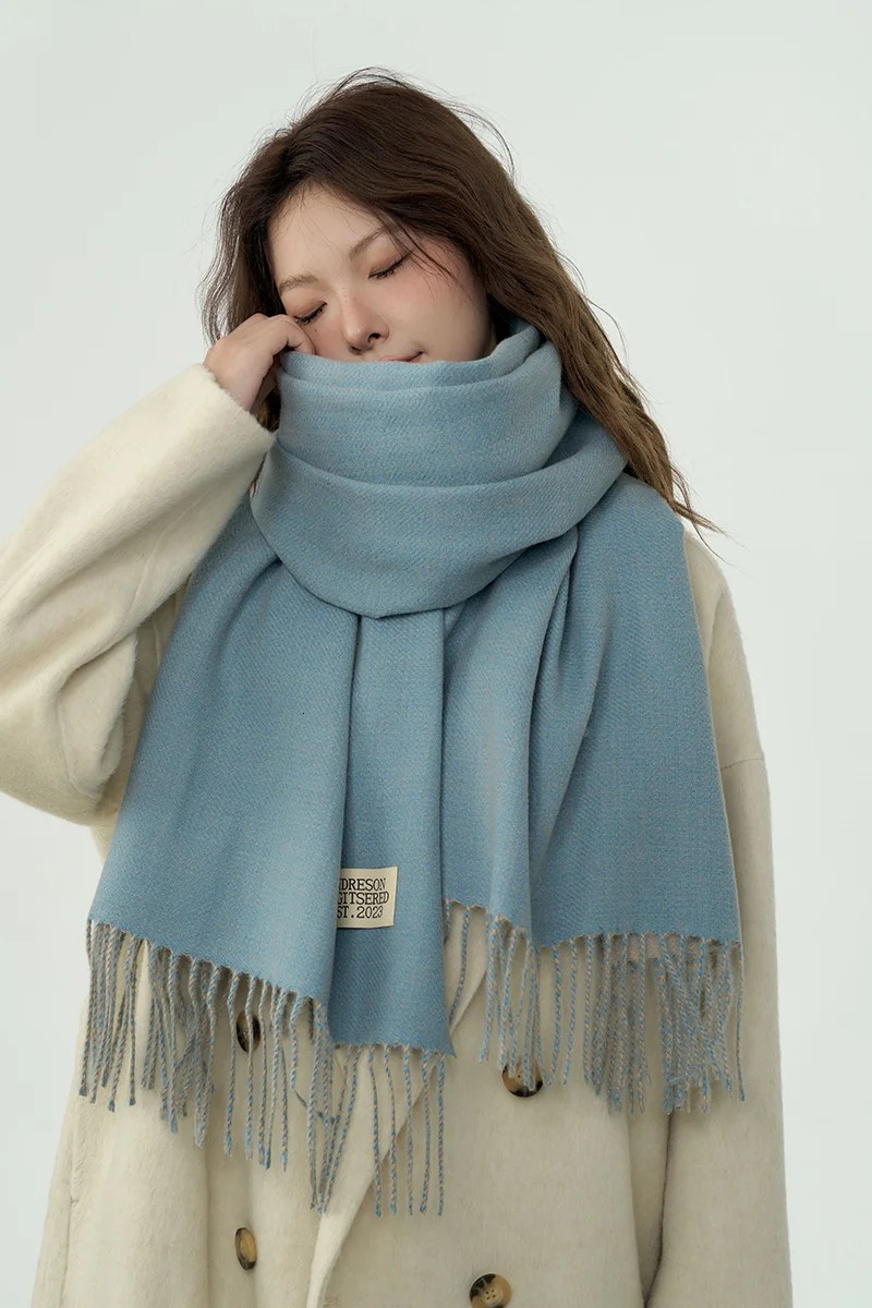 Solid Color Double-Side Cashmere Winter Women Scarf Korea Style Warm Shawl Outdoor Neckerchief Pashmina Tassel Lady 241220
