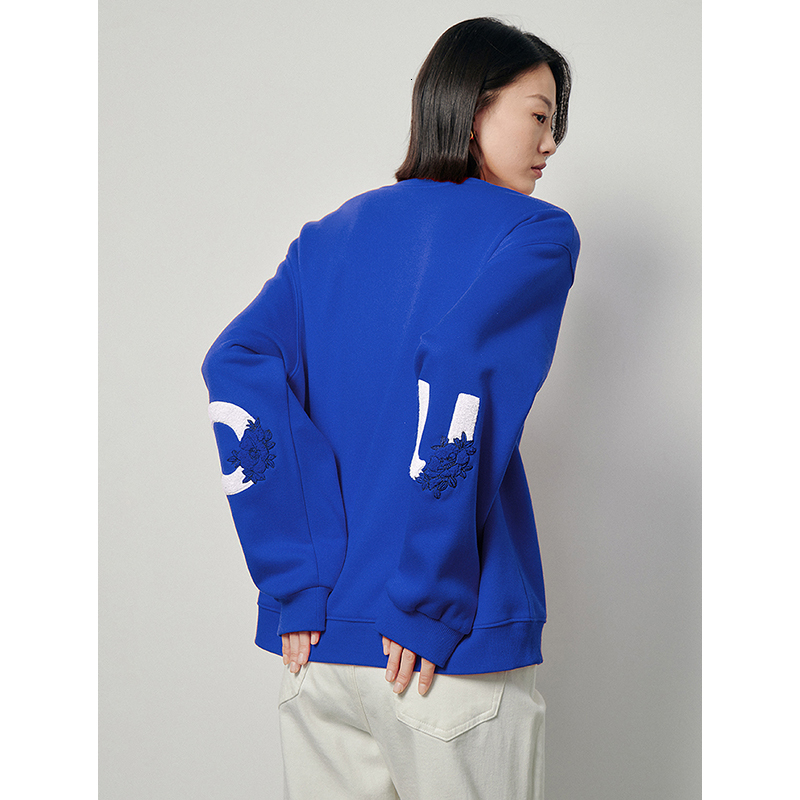 TOYOUTH Women Plush 2024 Autumn Winter Long Sleeve O Neck Embroidery Casual Pullover Hoodies Sweatshirt 3 Colors