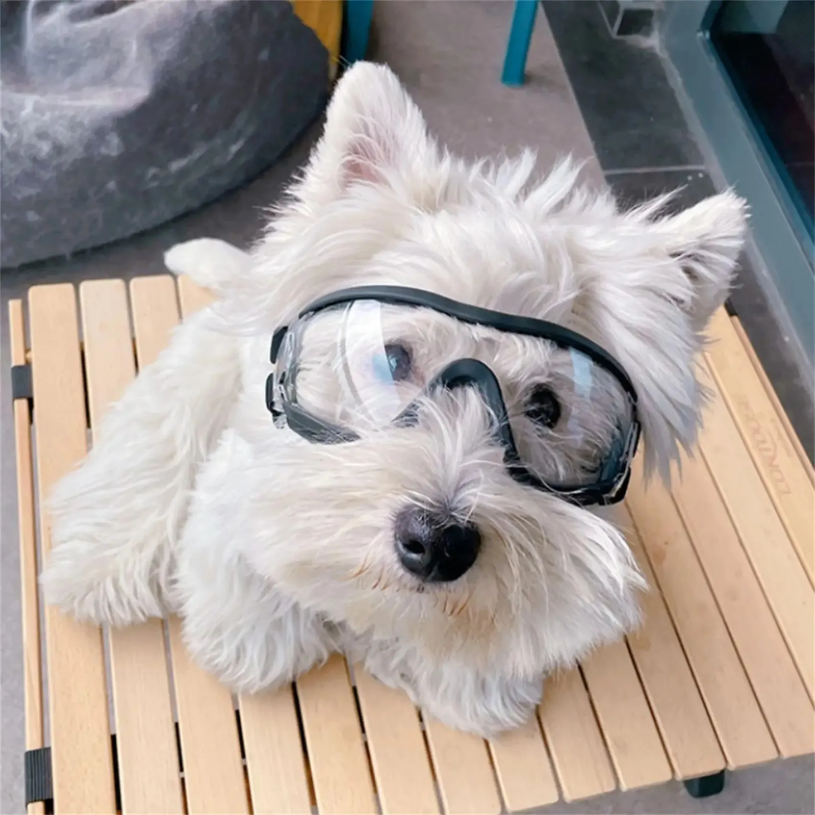 Dog Goggles UV Resistant Waterproof Windproof Sunglasses for Large Dogs Plastic Transparent Frame