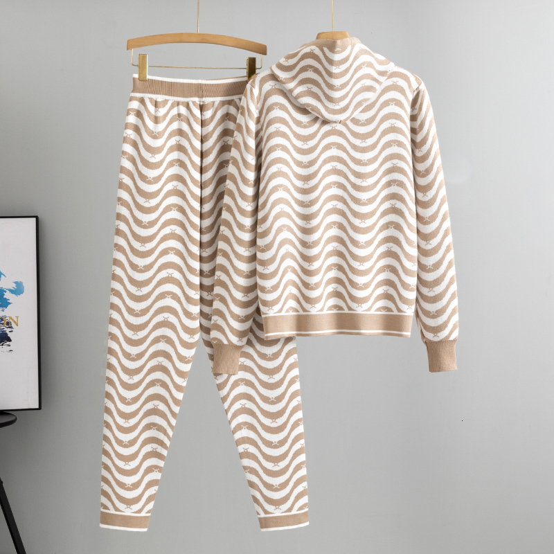 Spring 2 Hooded Women Outfits Tracksuit Knit Cardign Wide Leg Pant Sets New Two Piece Casual Loose Suit