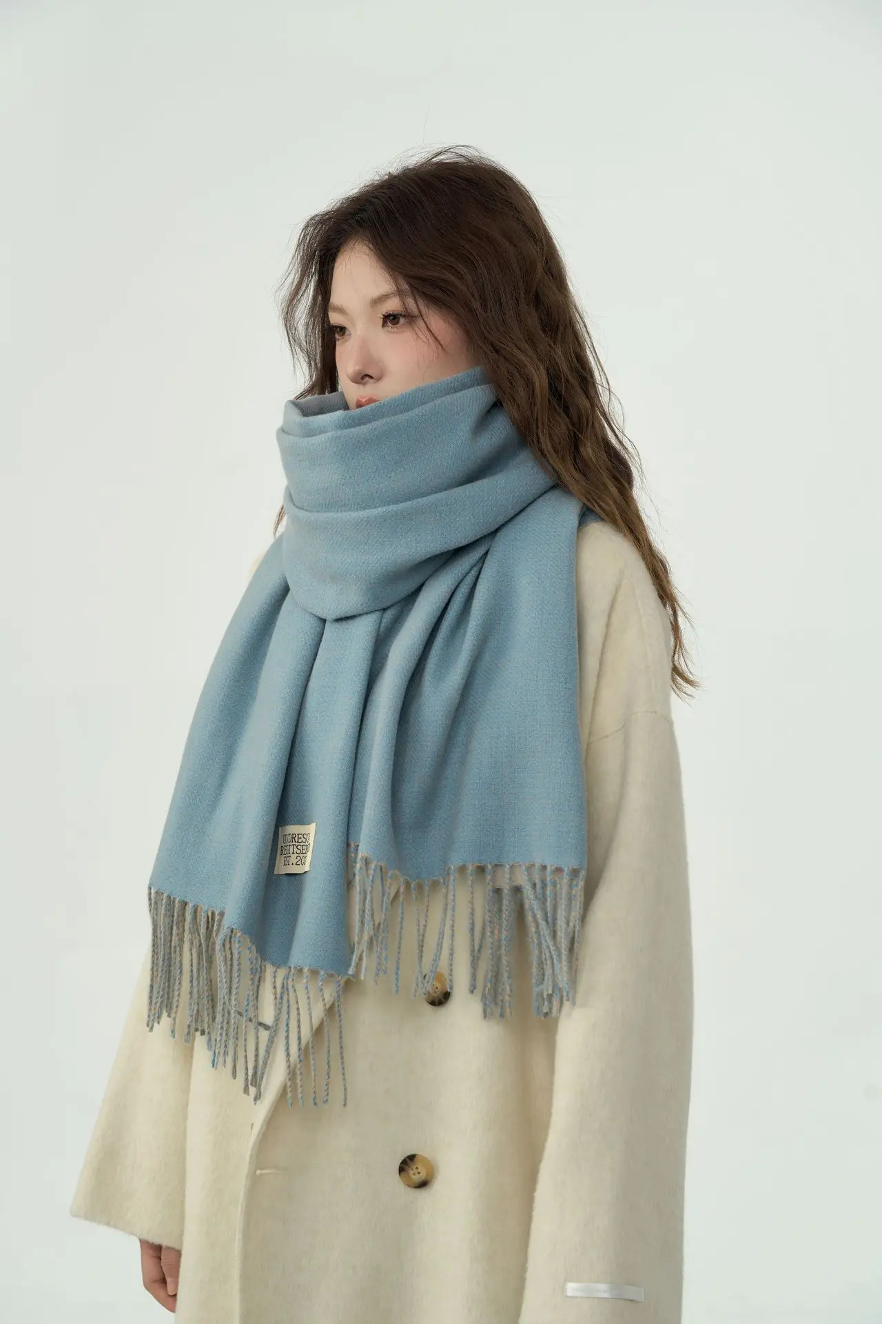 Solid Color Double-Side Cashmere Winter Women Scarf Korea Style Warm Shawl Outdoor Neckerchief Pashmina Tassel Lady 241220