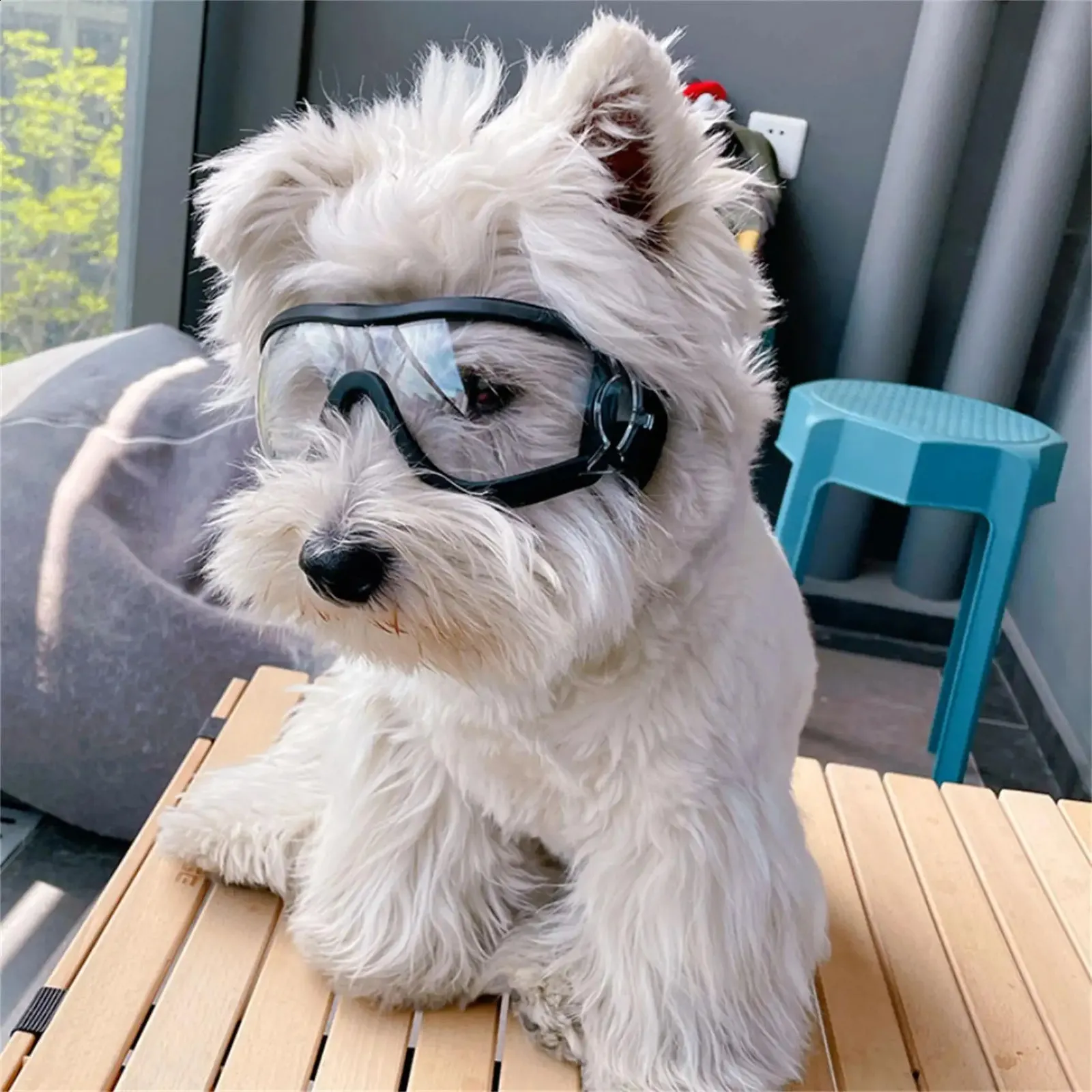 Dog Goggles UV Resistant Waterproof Windproof Sunglasses for Large Dogs Plastic Transparent Frame
