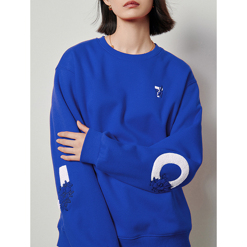 TOYOUTH Women Plush 2024 Autumn Winter Long Sleeve O Neck Embroidery Casual Pullover Hoodies Sweatshirt 3 Colors