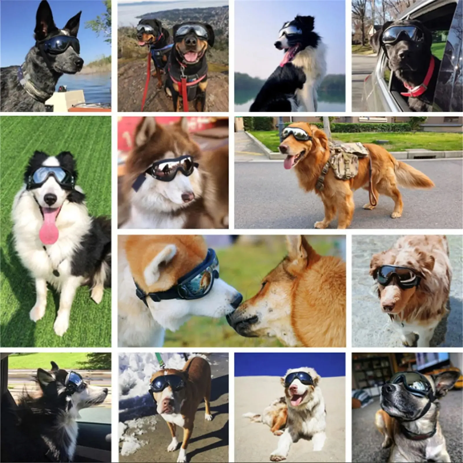 Dog Goggles UV Resistant Waterproof Windproof Sunglasses for Large Dogs Plastic Transparent Frame