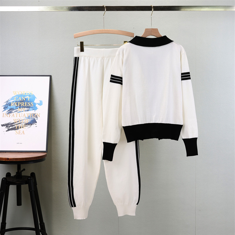 Leisure Sports Knitted Long Sleeve Women's new Autumn New Stand Collar Zipper Cardigan Trousers 2Pcs Track Suit