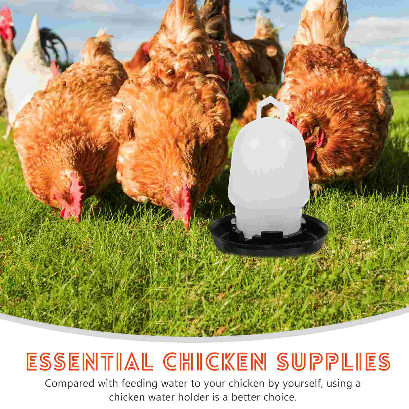 Automatic Chicken Waterer Poultry Feeder Trough Watering Cups Goblets Storage Bucket Supplies