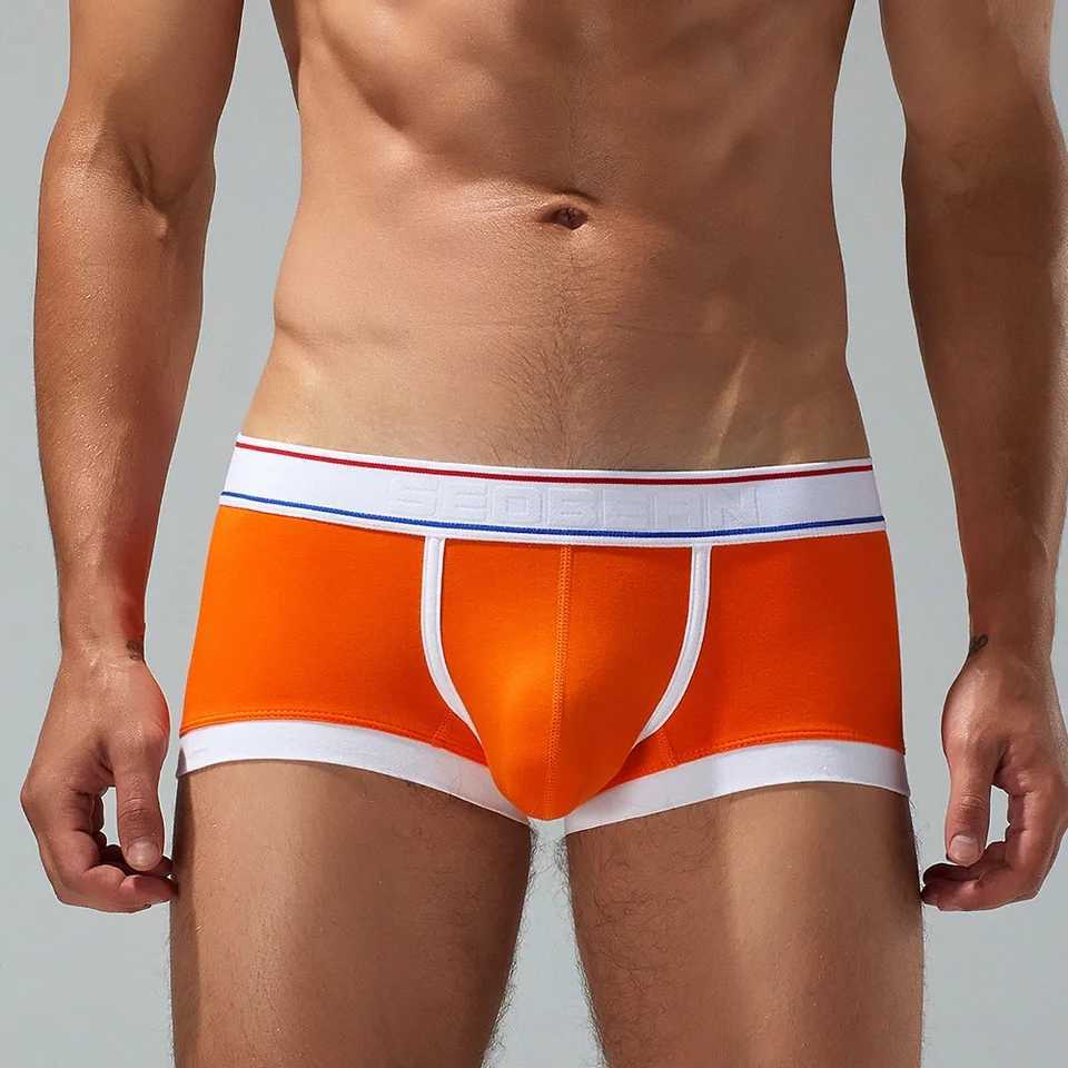 Seobean mens cotton underwear new design in 2024 W241223