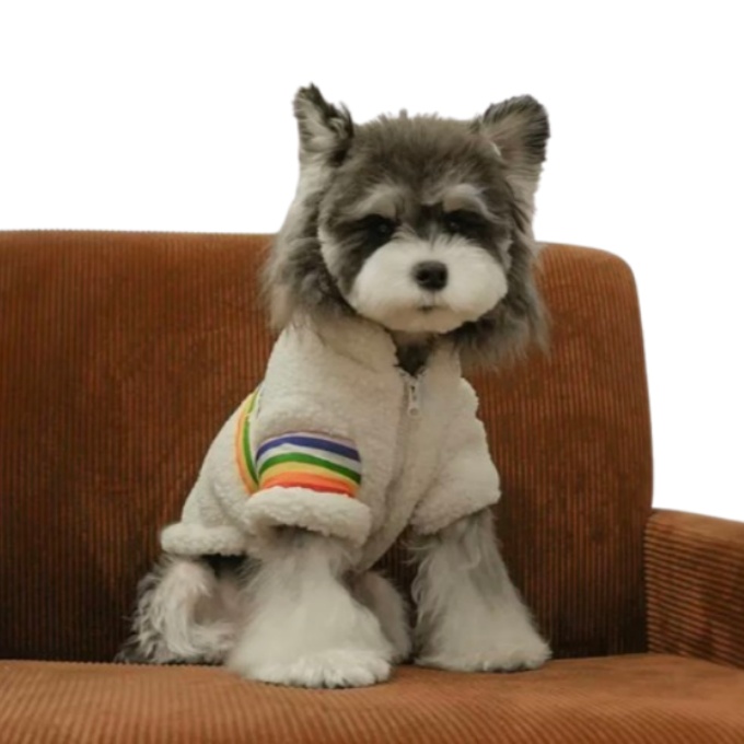 Dog clothes autumn and winter rainbow wool lamb wool thick warm two legs cotton clothing Schnauzer teddy pet clothing wholesale