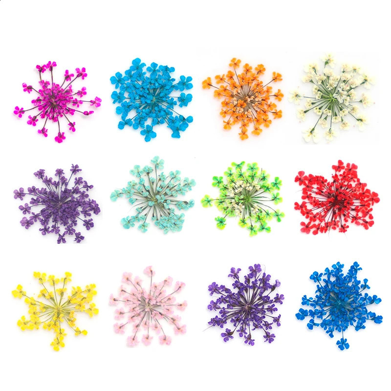 3D Dry Flower Nail Art Decoration Real Mini Dried Blossom Stickers Natural Floral Charms s DIY Manicure Nails Accessories 241223