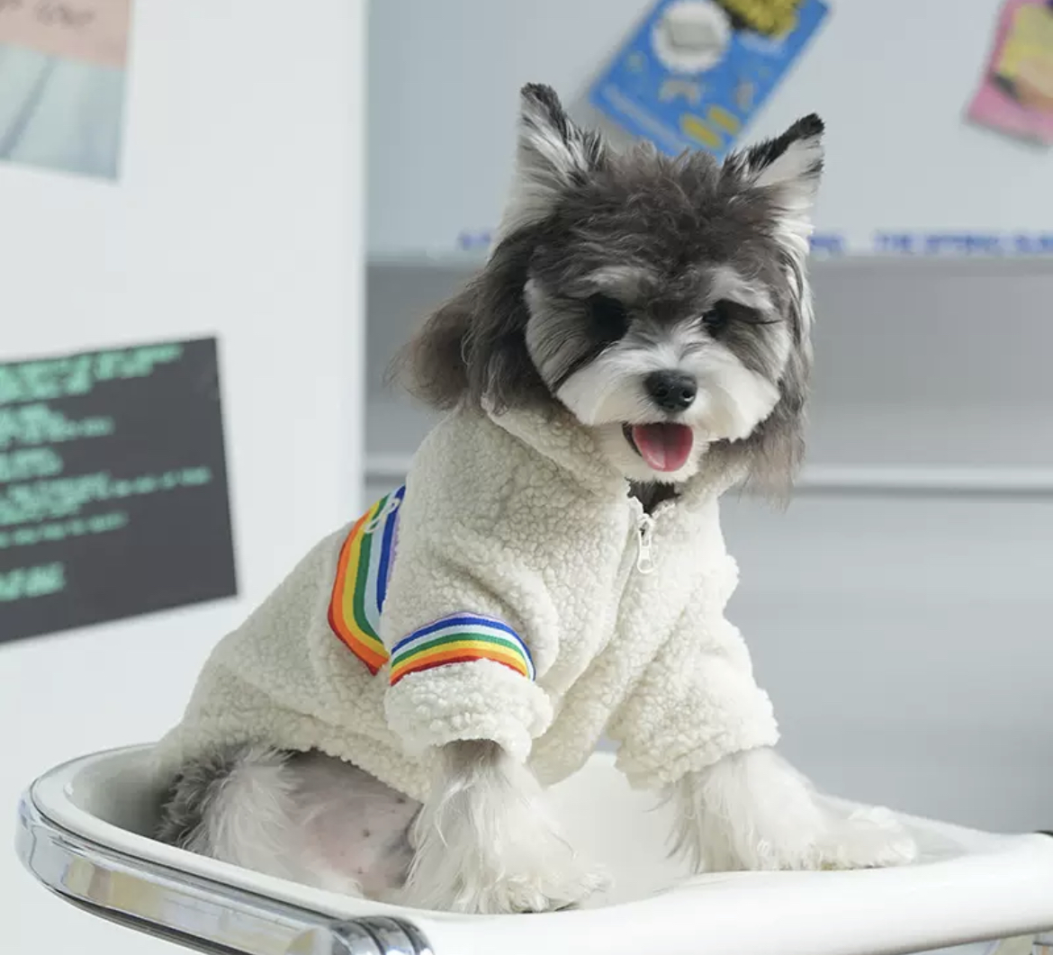 Dog clothes autumn and winter rainbow wool lamb wool thick warm two legs cotton clothing Schnauzer teddy pet clothing wholesale