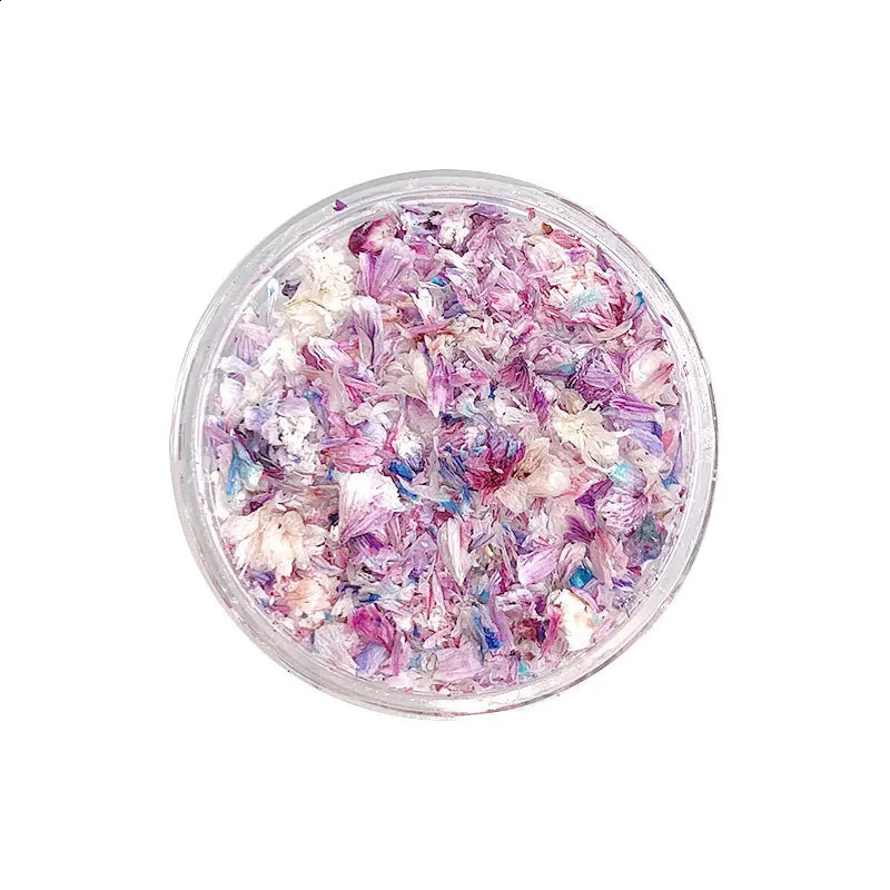 TSZS Nail Art DIY Decorations Japanese Style UV Gel Dried Flower For Nails Art Jewelry Charms Flower Beauty Salon Decos 241223