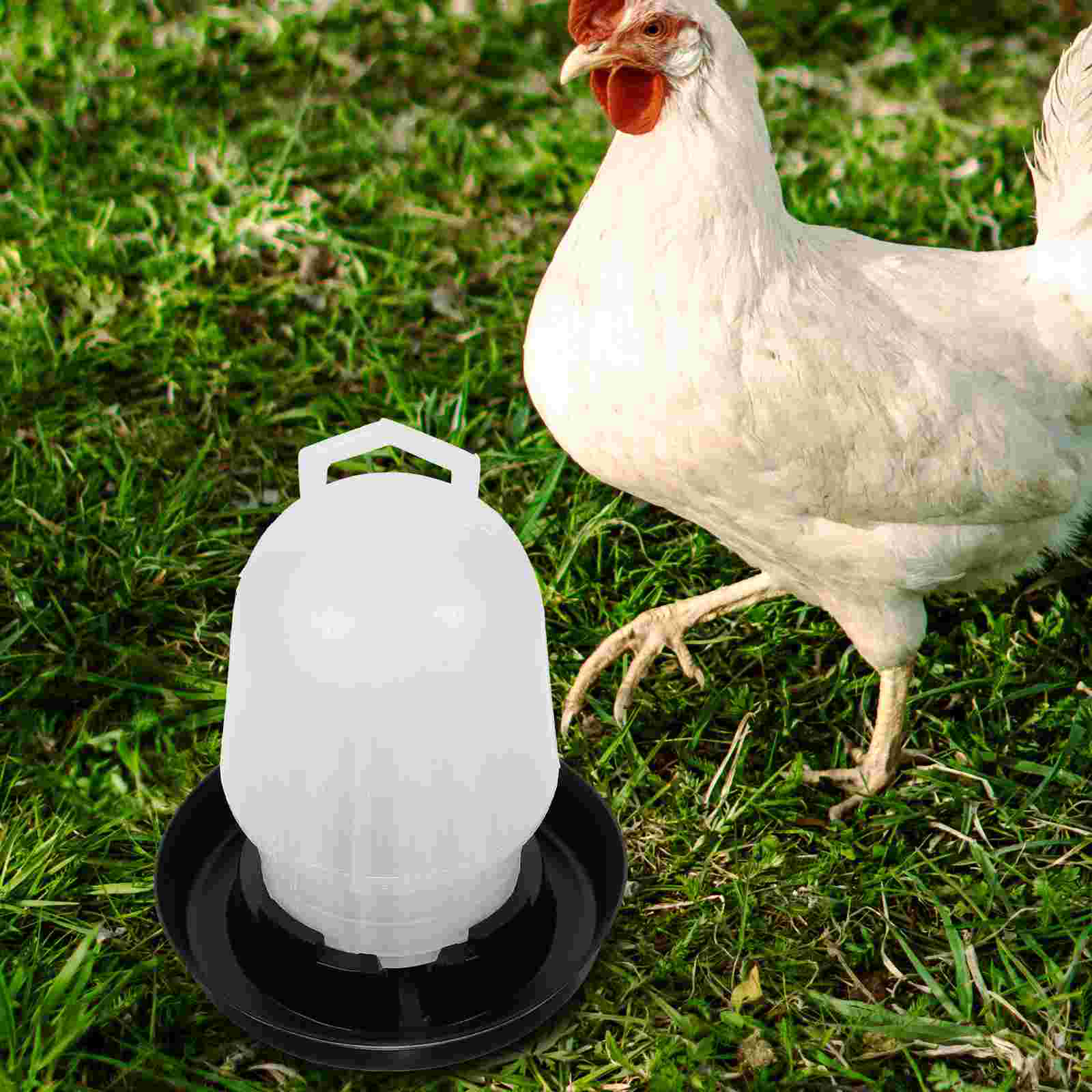 Automatic Chicken Waterer Poultry Feeder Trough Watering Cups Goblets Storage Bucket Supplies